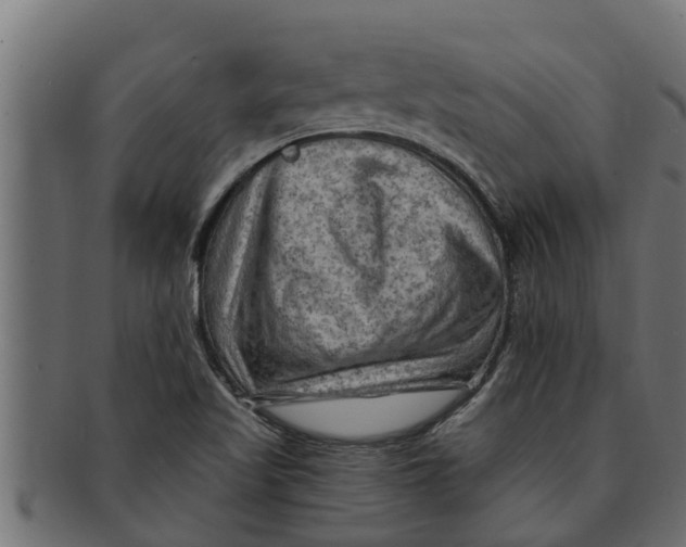 X0000091691509200709201248