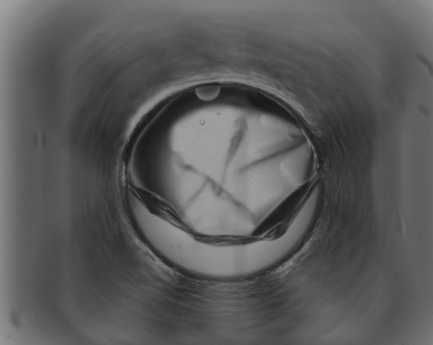 X0000091691510200709201248