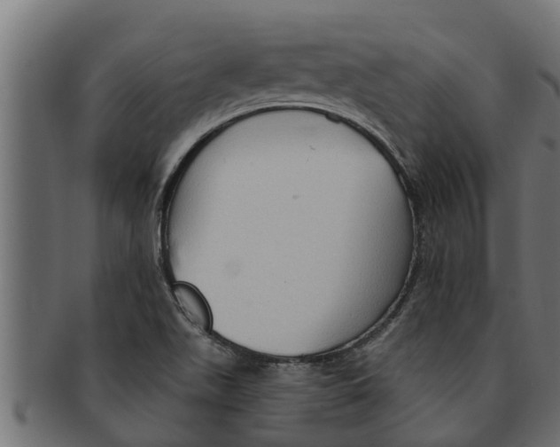 X0000091691511200709201248