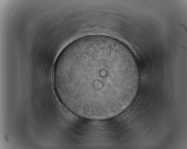 X0000091691514200709201248