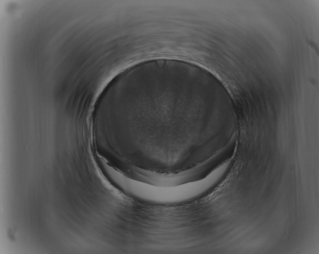 X0000091691515200709201248