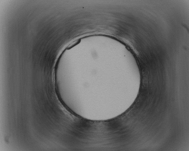 X0000091691516200709201248