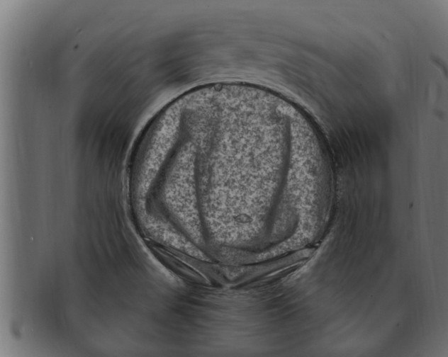 X0000091691517200709201248