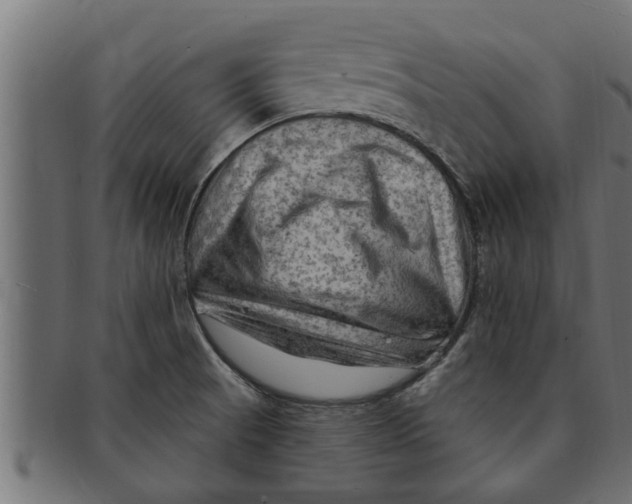 X0000091691521200709201248