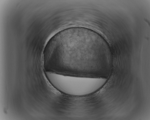 X0000091691522200709201248