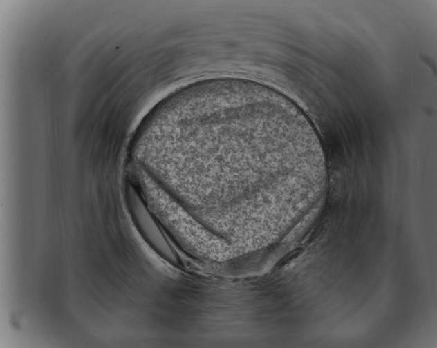 X0000091691523200709201248