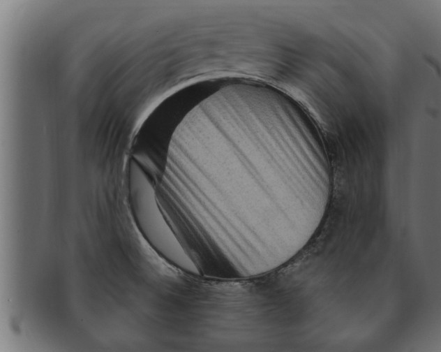 X0000091691524200709201248