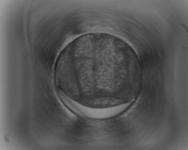 X0000091691525200709201248