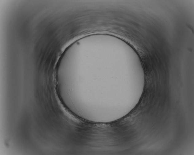 X0000091691526200709201248