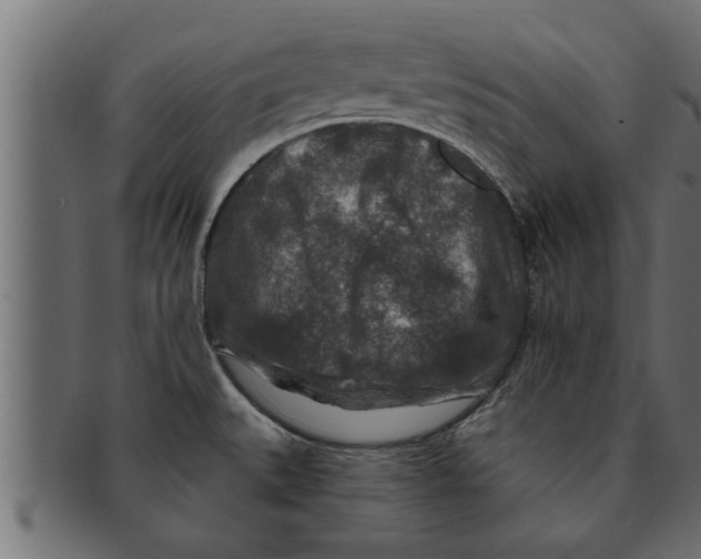 X0000091691527200709201248