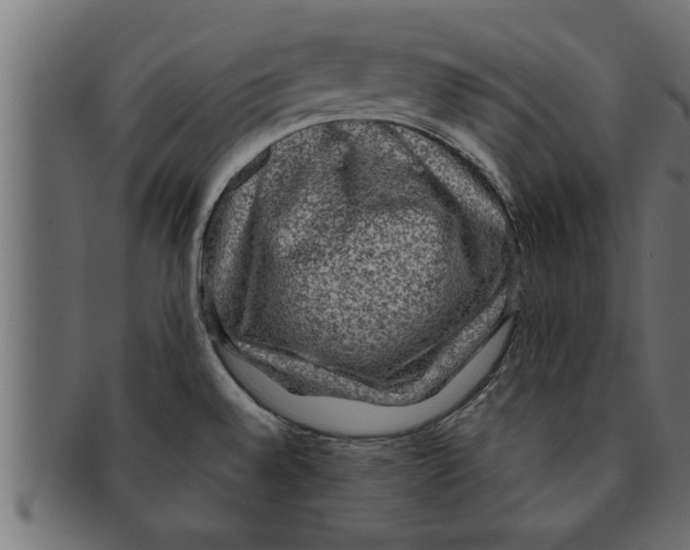 X0000091691528200709201248