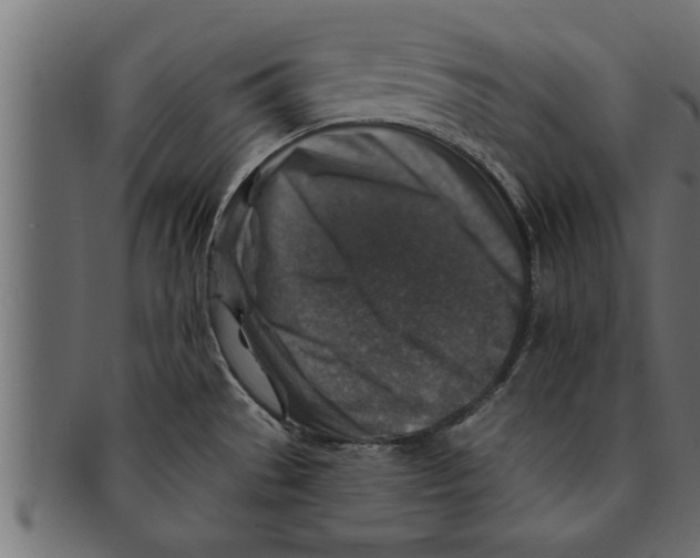 X0000091691529200709201248