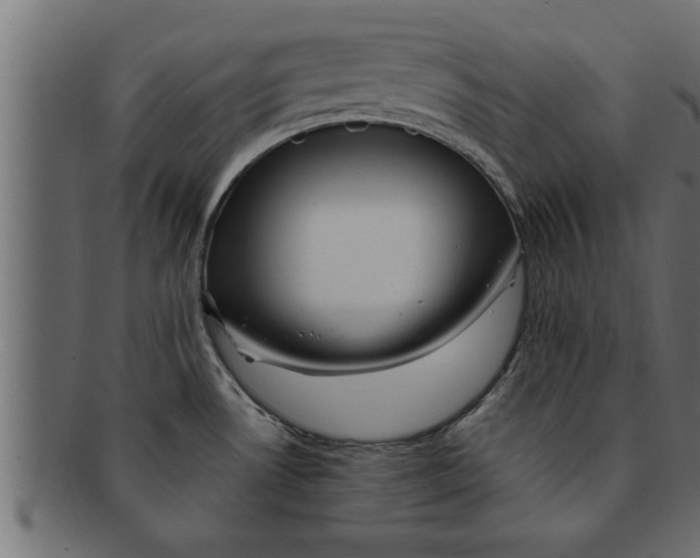 X0000091691530200709201248