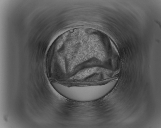 X0000091691531200709201249