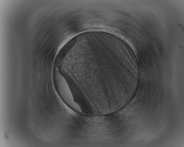 X0000091691533200709201249