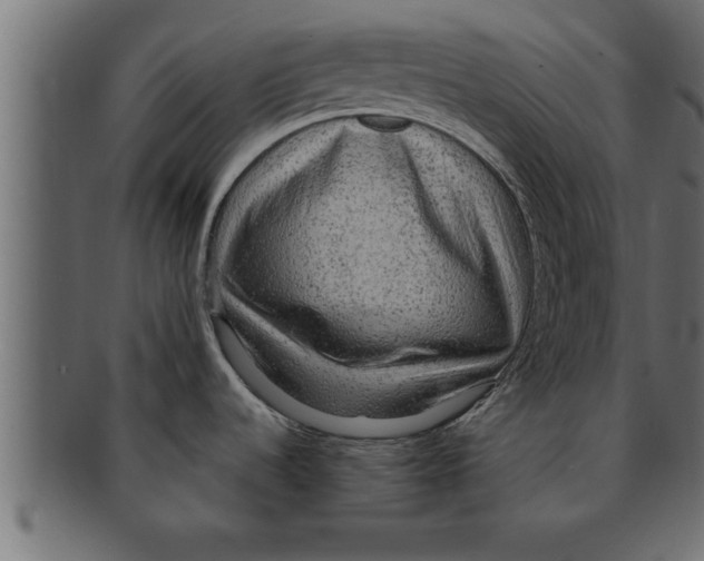 X0000091691536200709201249