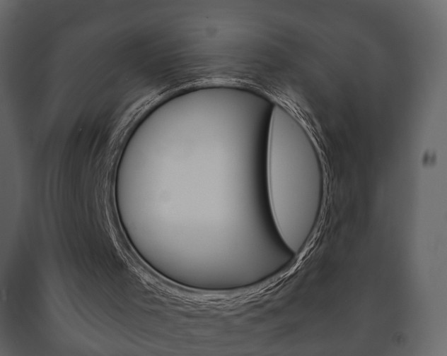 X0000091700001200708240945