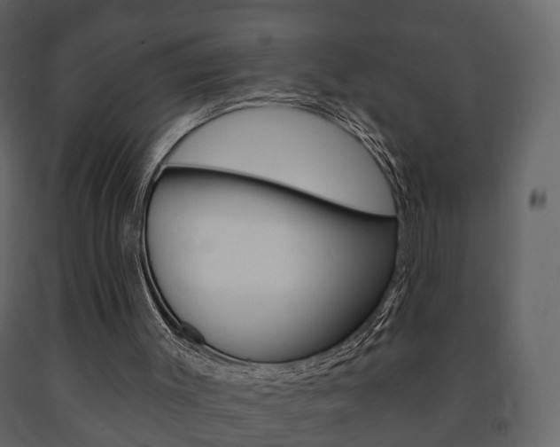 X0000091700003200708240945