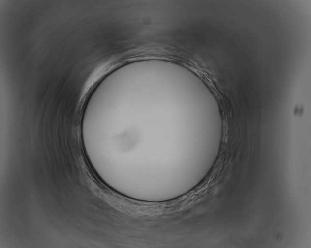 X0000091700004200708240945