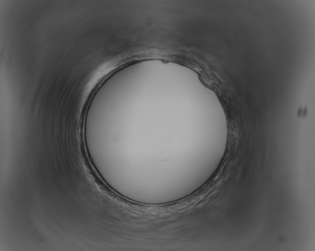 X0000091700006200708240945