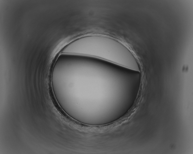X0000091700007200708240945