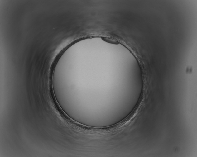 X0000091700008200708240944