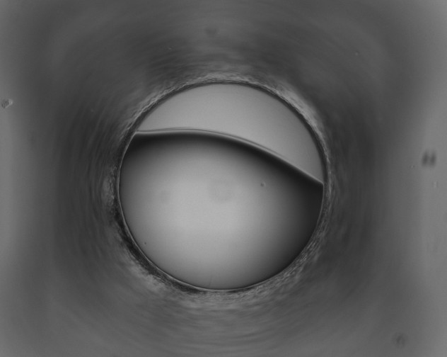 X0000091700009200708240944