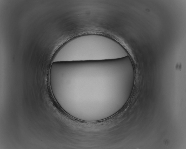 X0000091700010200708240944