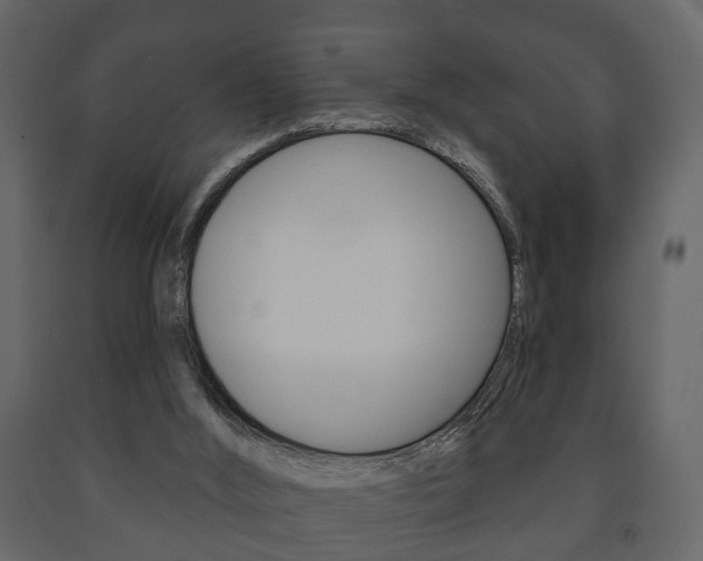 X0000091700012200708240944