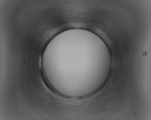 X0000091700014200708240944