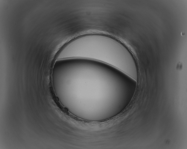 X0000091700015200708240944