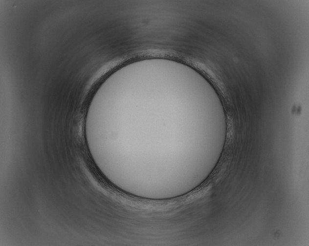 X0000091700016200708240944