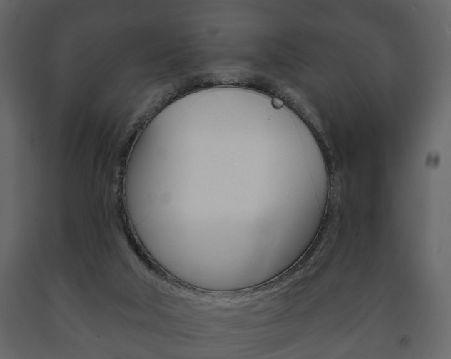 X0000091700018200708240944