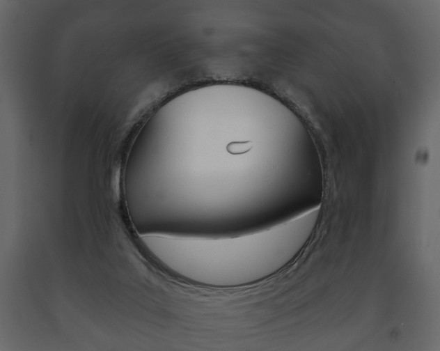 X0000091700019200708240944