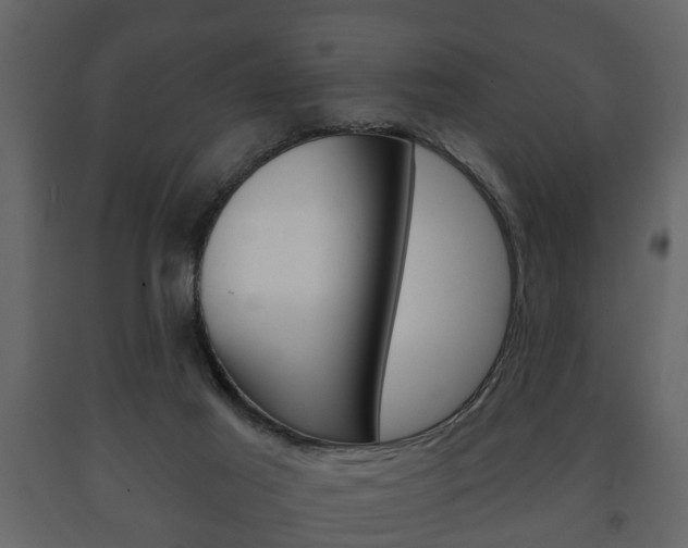 X0000091700021200708240944