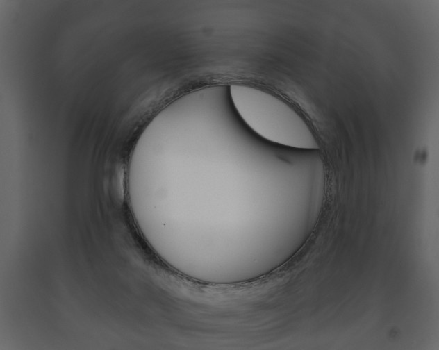 X0000091700022200708240944