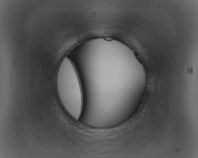 X0000091700023200708240944