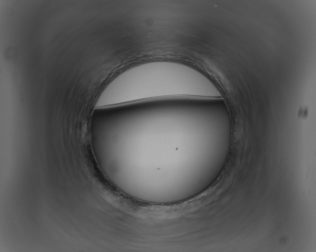 X0000091700025200708240944