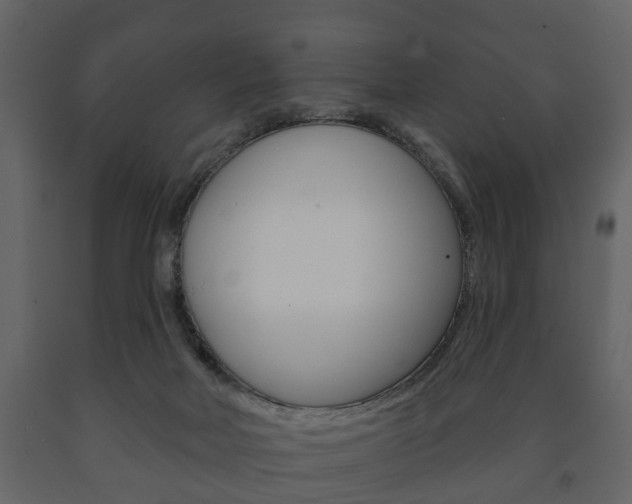 X0000091700026200708240944