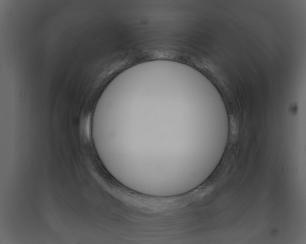X0000091700028200708240944
