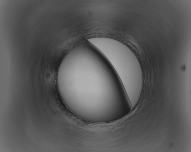 X0000091700029200708240944