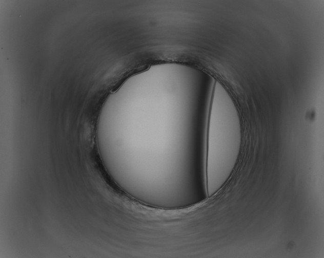 X0000091700031200708240944