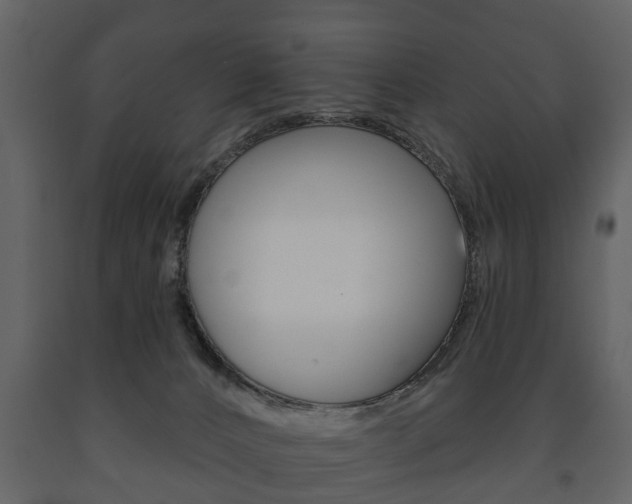 X0000091700032200708240944