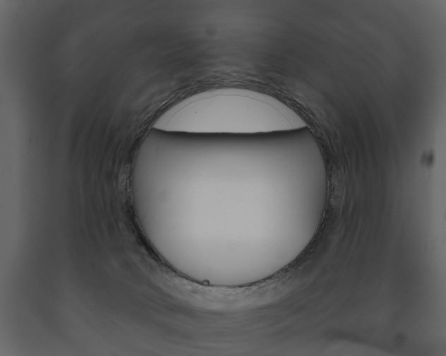 X0000091700034200708240944