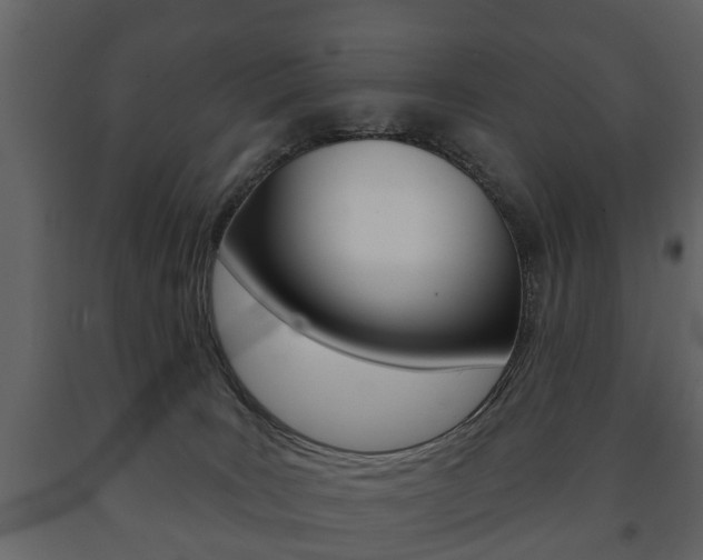 X0000091700035200708240944