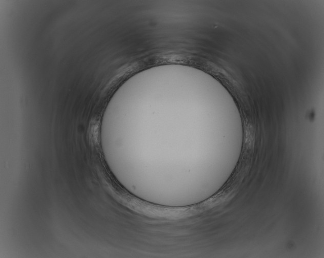 X0000091700036200708240944