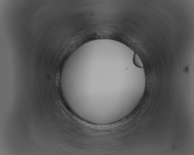 X0000091700038200708240944