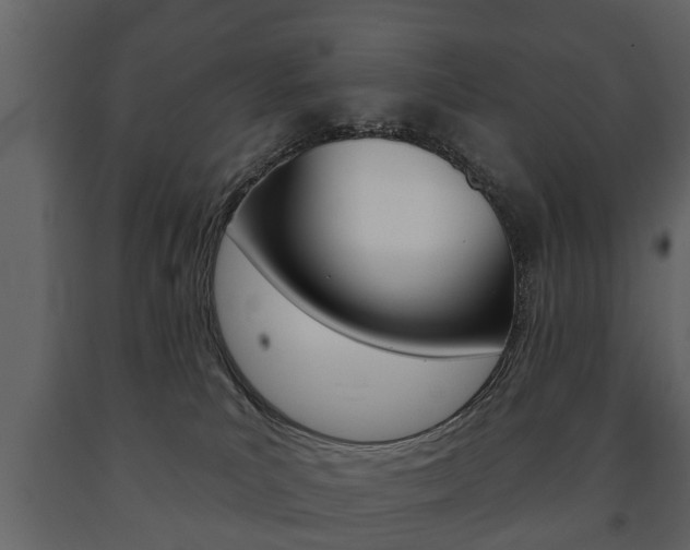 X0000091700039200708240944