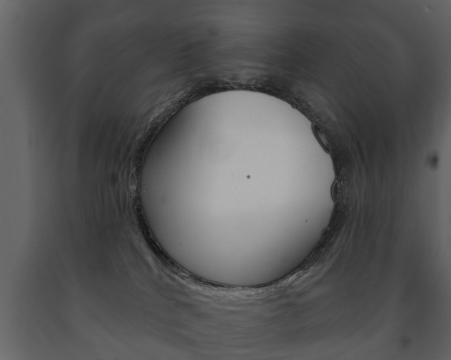 X0000091700040200708240944