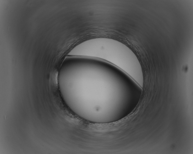 X0000091700041200708240944